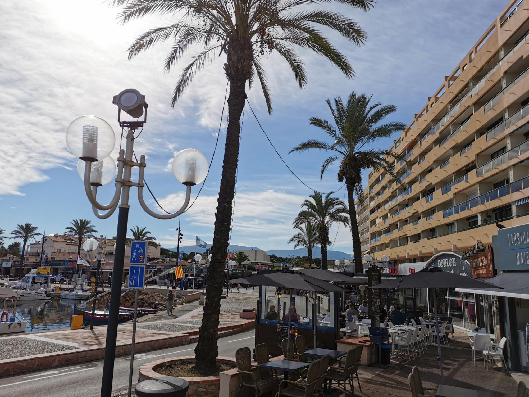 Appartement Refait A Neuf, Climatise Avec Vue Mer Et Montagne, Avec Place De Parking Privative Saint-Cyprien  Bagian luar foto