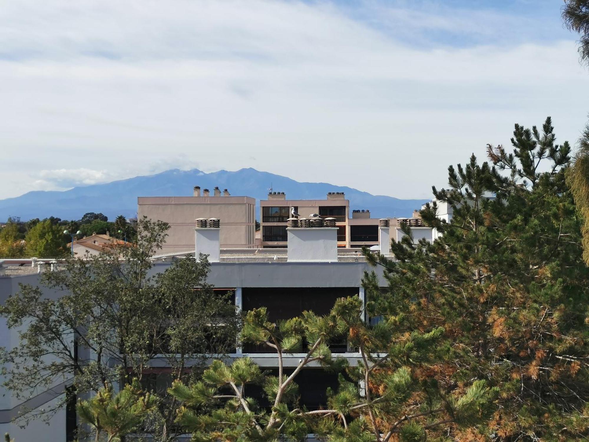 Appartement Refait A Neuf, Climatise Avec Vue Mer Et Montagne, Avec Place De Parking Privative Saint-Cyprien  Bagian luar foto